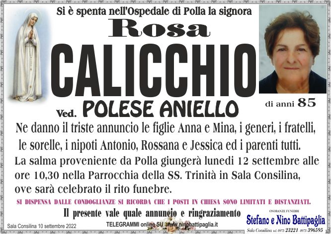 foto manifesto CALICCHIO ROSA
